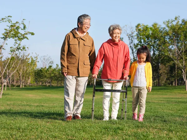 Felici nonni e nipoti che camminano nel parco — Foto Stock