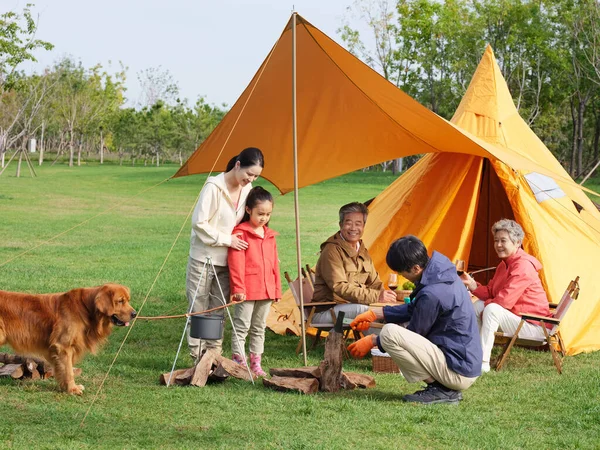 快乐的五口之家和宠物狗在户外野餐 — 图库照片