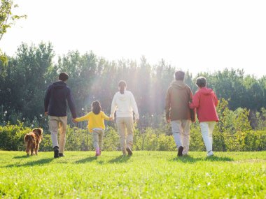 Happy family of five and pet dog walking in the park clipart