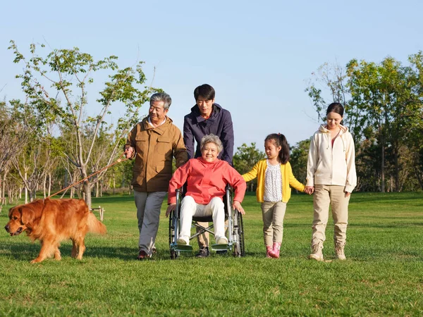 Mutlu beş kişilik bir aile ve parkta yürüyen evcil bir köpek. — Stok fotoğraf