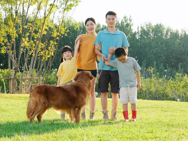 Счастливая семья из четырех человек и собака в парке — стоковое фото