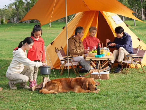 Famiglia felice di cinque e cane da compagnia hanno un pic-nic all'aperto — Foto Stock