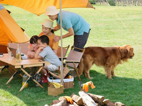Familia feliz de cuatro y perro mascota usando portátil al aire libre —  Fotos de Stock