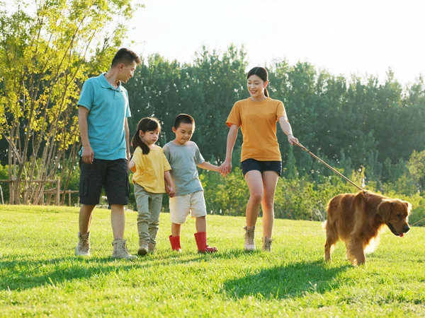 Joyeux famille de quatre chiens ambulants dans le parc — Photo