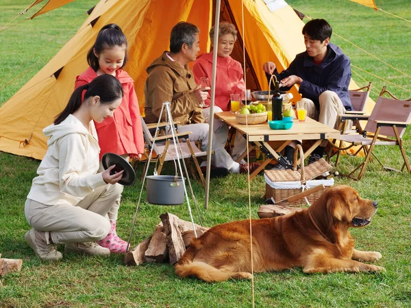 Mutlu beş kişilik bir aile ve evcil köpek dışarıda piknik yapıyor. — Stok fotoğraf