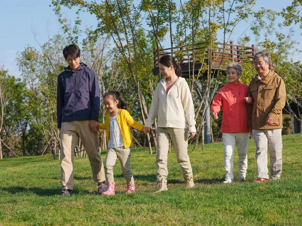 Una familia feliz de cinco caminando por el parque —  Fotos de Stock