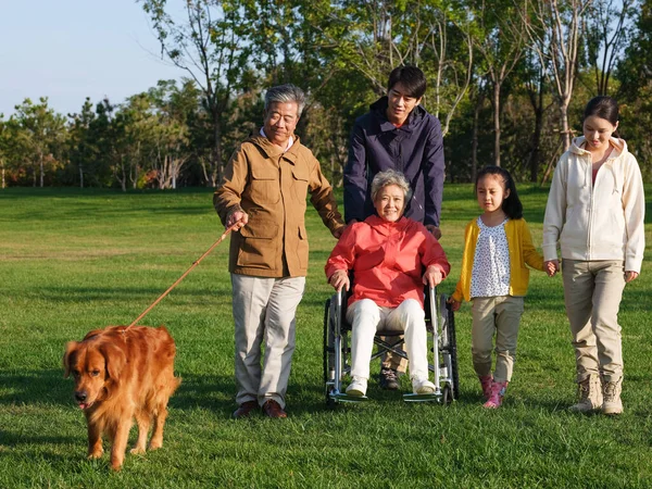 Família feliz de cinco e cão de estimação andando no parque — Fotografia de Stock