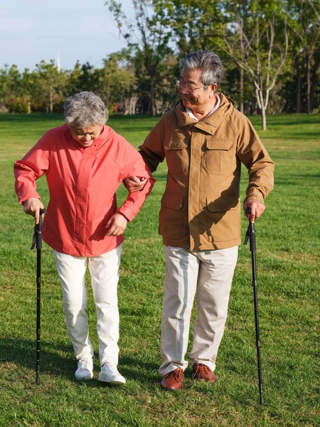 Gelukkig oud koppel wandelen in het park — Stockfoto