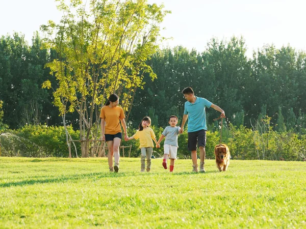 Ευτυχισμένη οικογένεια τεσσάρων σκύλων που περπατούν στο πάρκο — Φωτογραφία Αρχείου