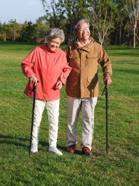 Happy old couple walking in the park clipart