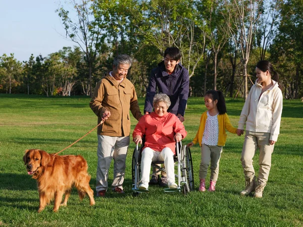 Família feliz de cinco e cão de estimação andando no parque — Fotografia de Stock