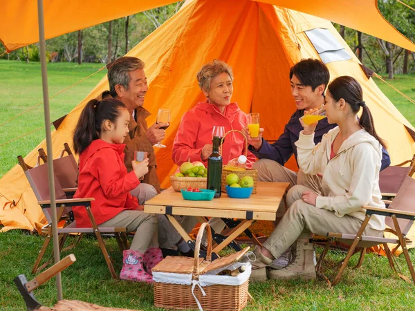 Szczęśliwa pięcioosobowa rodzina urządza piknik na świeżym powietrzu — Zdjęcie stockowe