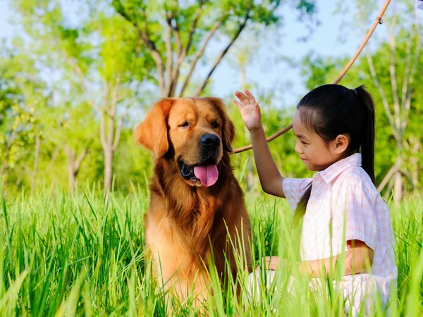 Ευτυχισμένο κορίτσι και σκυλάκι παίζουν στο πάρκο. — Φωτογραφία Αρχείου