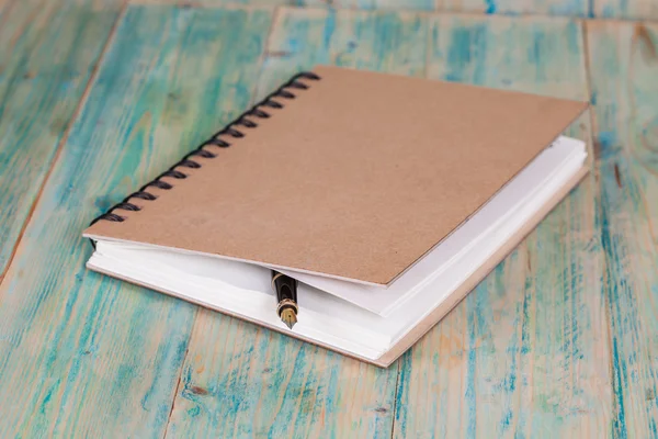 Selektive Fokussierung des Stiftes auf geöffnetes liniertes Tagebuchbuch , — Stockfoto