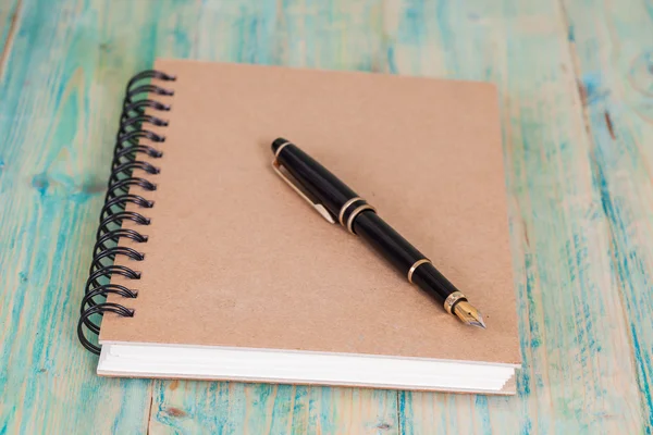 Selectieve aandacht van de pen op geopende bekleed dagboek boek , — Stockfoto