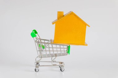Alışveriş arabalı altın ev, konut ve emlak konsepti.