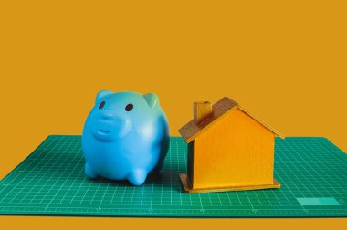 Mavi domuzcuk kumbarası, yeşil paspaslı altın ev.