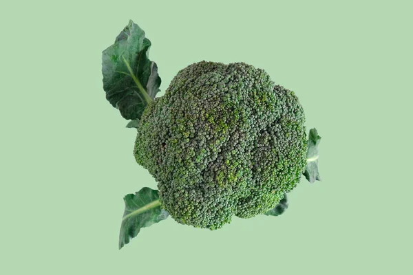 Verse Groene Broccoli Kleur Achtergrond Biologisch Voedsel — Stockfoto