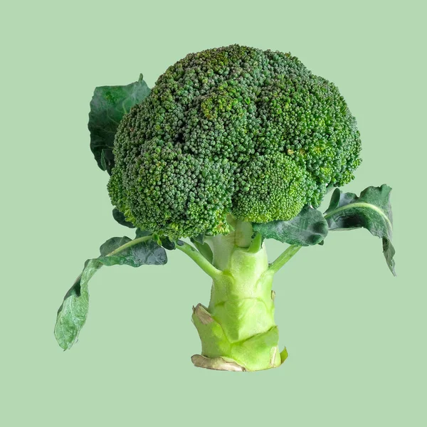 Fresh Green Broccoli Color Background Organic Food — Stock Photo, Image