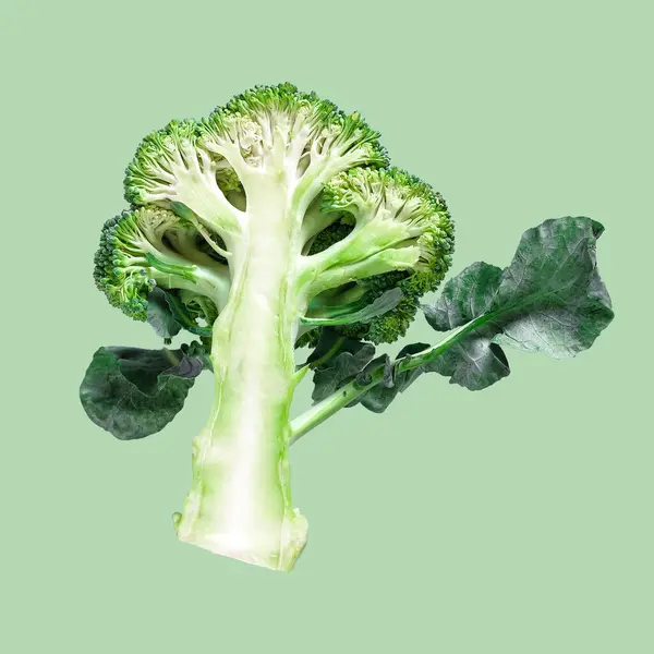 Friss Zöld Brokkoli Színes Háttérrel Bioélelmiszerek — Stock Fotó
