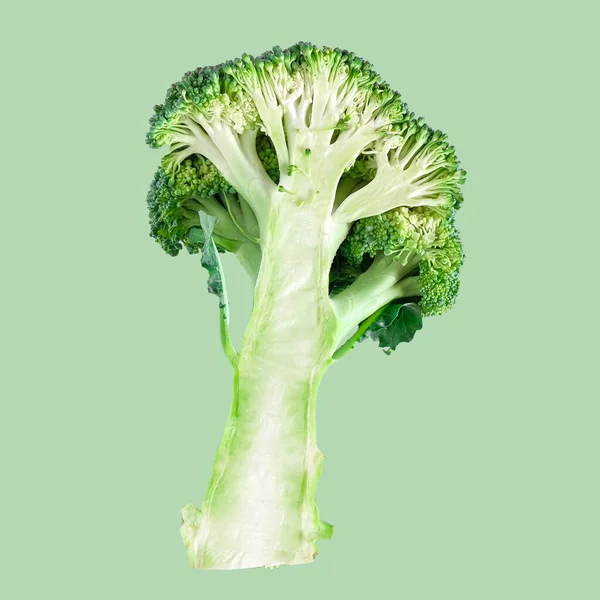 Fresh Green Broccoli Color Background Organic Food — Stock Photo, Image