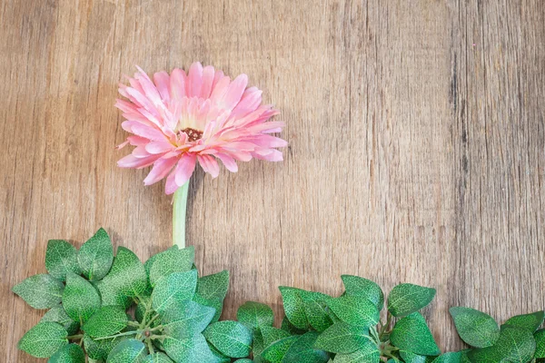 Flowers — Stock Photo, Image