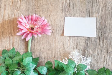 Yılbaşı çiçeği