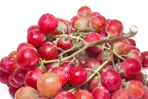 Red grape — Stock Photo, Image