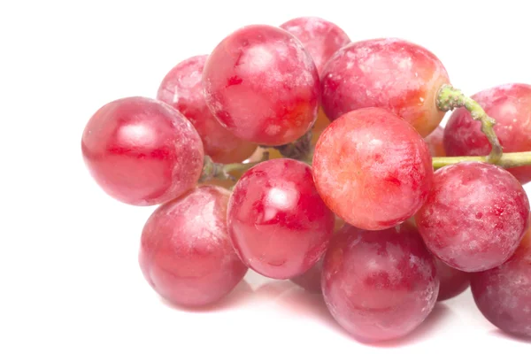 Red grape — Stock Photo, Image