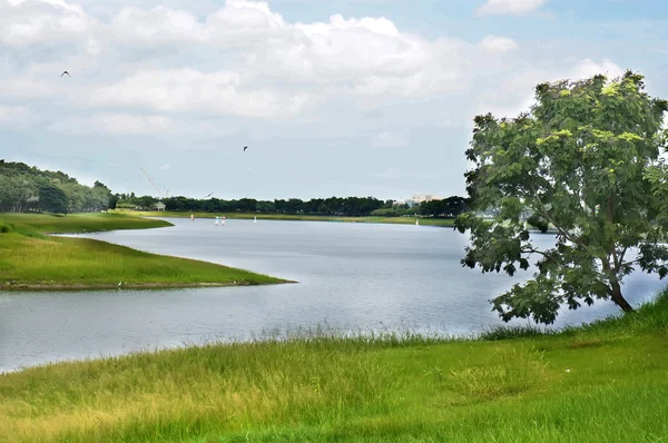 Día soleado en el lago — Foto de Stock