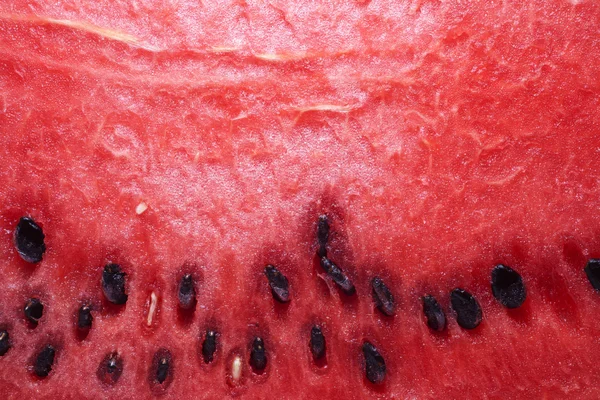 Wassermelone — Stockfoto