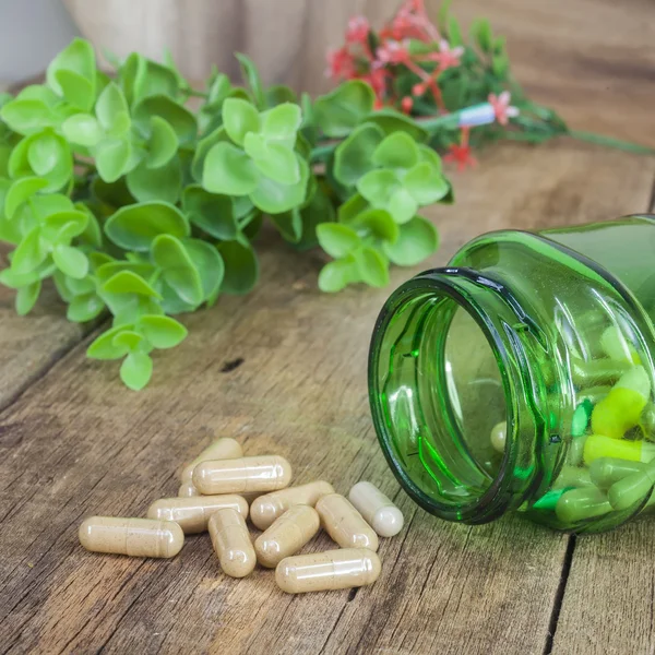 Herb capsules — Stock Photo, Image