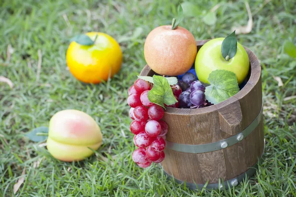 Fruits dans le panier — Photo