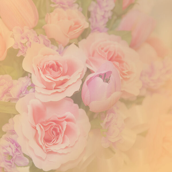 Vintage and soft light of flowers