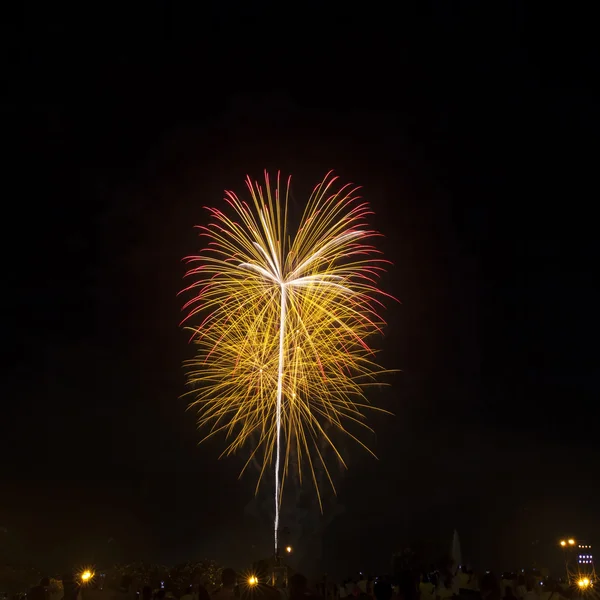 Des feux d'artifice illuminent le ciel — Photo