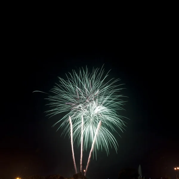 Fireworks lysa upp himlen — Stockfoto