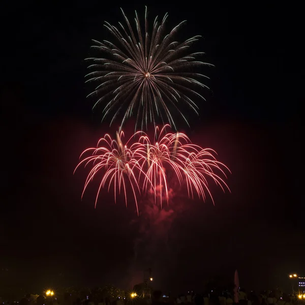 Fireworks lysa upp himlen — Stockfoto