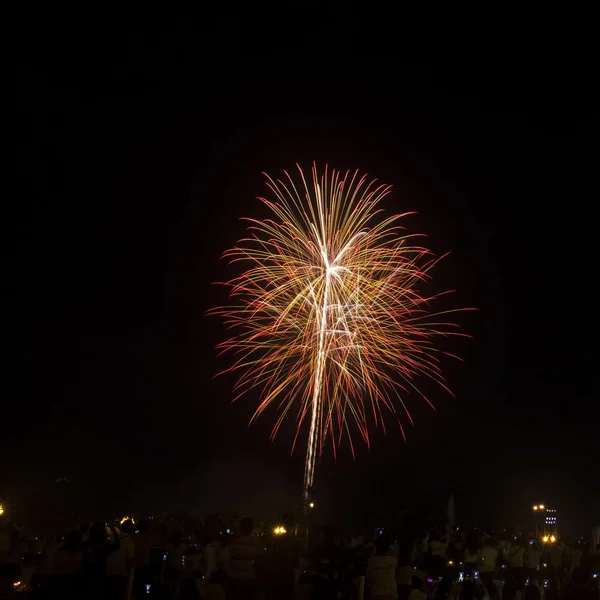 Des feux d'artifice illuminent le ciel — Photo