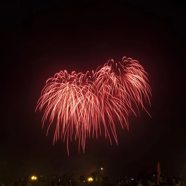 Des feux d'artifice illuminent le ciel — Photo