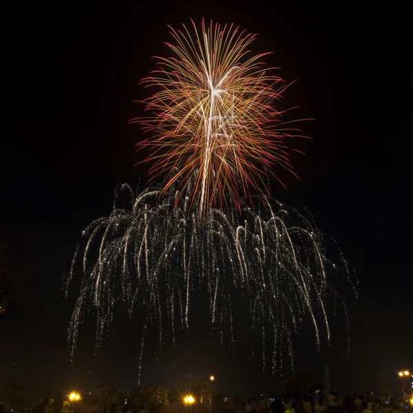 Des feux d'artifice illuminent le ciel — Photo