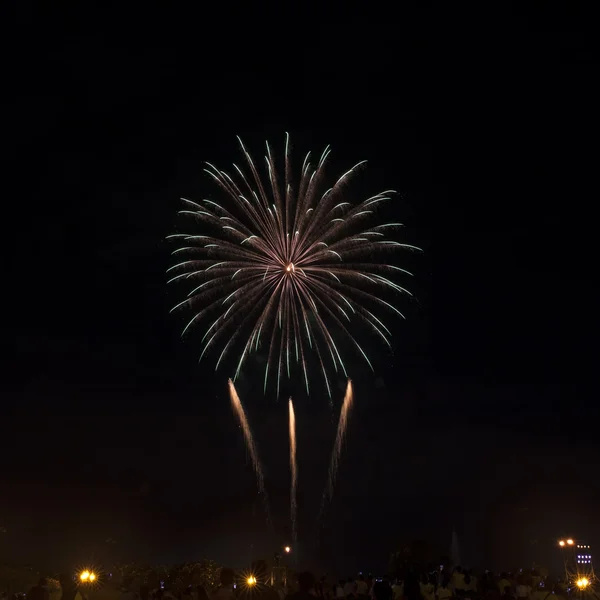 Fireworks lysa upp himlen — Stockfoto