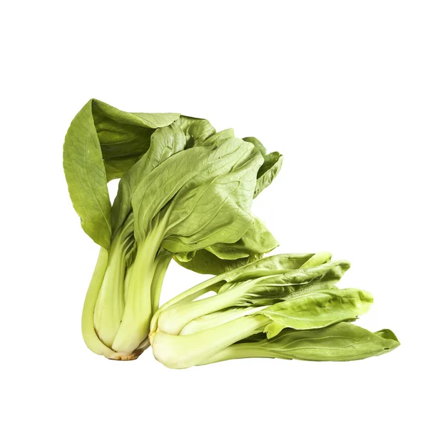有機青梗菜の白い背景の上 — ストック写真
