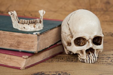 İnsan kafatası ve eski metin kitap eski harita arka plan üzerinde