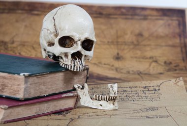 İnsan kafatası ve eski metin kitap eski harita arka plan üzerinde