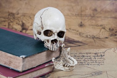 İnsan kafatası ve eski metin kitap eski harita arka plan üzerinde