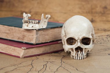 İnsan kafatası ve eski metin kitap eski harita arka plan üzerinde