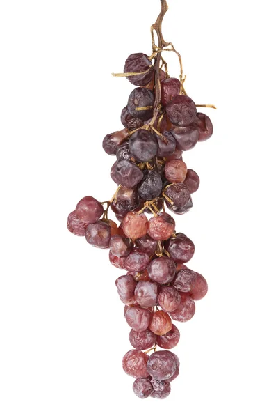Sear grape on white background — Stock Photo, Image