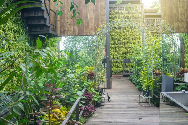 Promenad sätt i trädgården, Thailand — Stockfoto