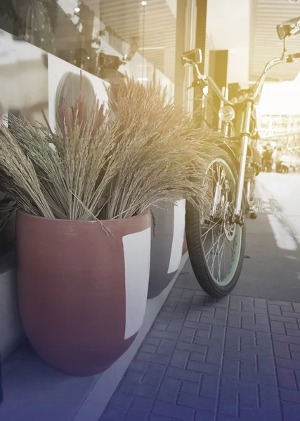 Bicycle on side of road on fair light — Stock Photo, Image