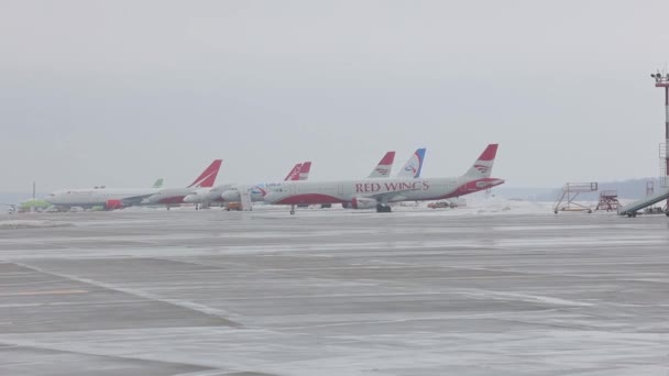 Uçaklar havaalanına park edildi. Kar temizleme aracı ön planda sürüyor. — Stok video